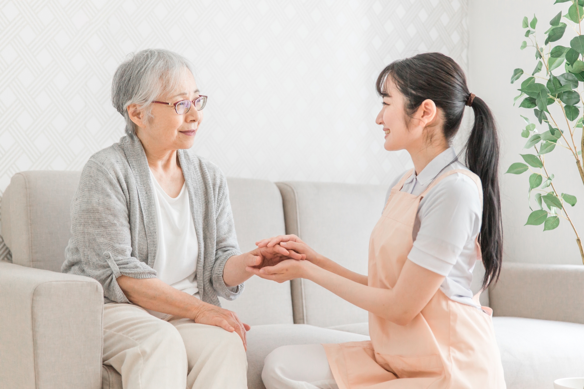 サービス開始